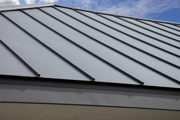 Best Gutter Installation and Repair  in Minneola, FL